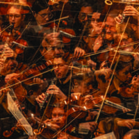 Orchestra's Greatest Hits | Nov 14